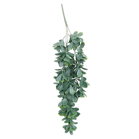 4 Pack: 30" Trailing Jade Bush by Ashland®